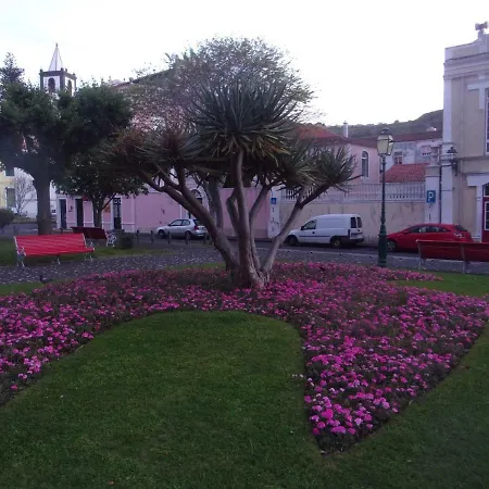 Apartment Garden View