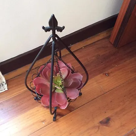 Garden View Apartamento